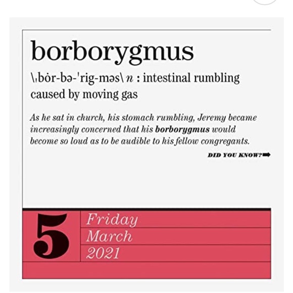 365 New Words A Year by Merriam-Webster 2021 - Picture 4 of 5